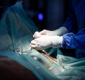 Chirurgie - Kastration