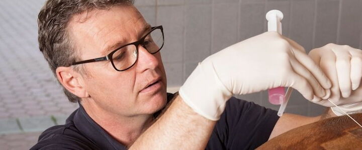 Dr. med. vet. Stefan von Bieberstein bei der Behandlung