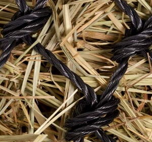 Symbolbild für Netzwerk