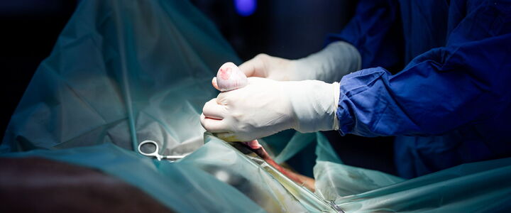 Chirurgie - Kastration