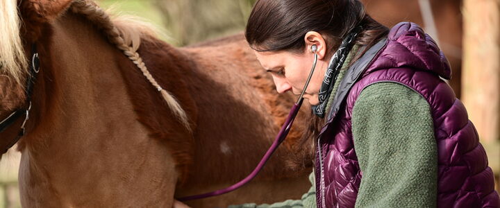 Tierärztin hört Herztöne ab