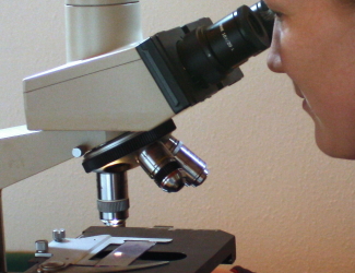 Blick in das Mikroskop